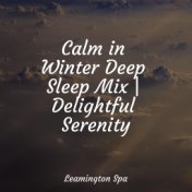 Calm in Winter Deep Sleep Mix | Delightful Serenity