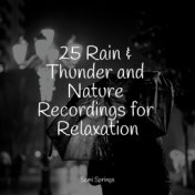25 Rain & Thunder and Nature Recordings for Relaxation