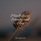 Mindfulness, Serenity and Sleep