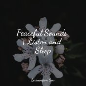 Peaceful Sounds | Listen and Sleep