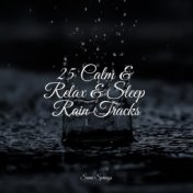 25 Calm & Relax & Sleep Rain Tracks