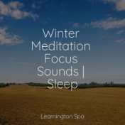Winter Meditation Focus Sounds | Sleep