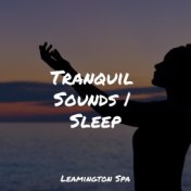 Tranquil Sounds | Sleep