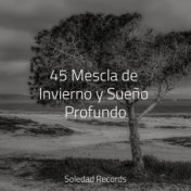 45 Mescla de Invierno y Sueño Profundo