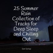 25 Summer Rain Collection of Tracks for Deep Sleep and Chilling Out