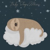 Baby Sleep Music (Put Your Child to Sleep with Calming and Beautiful Lullabies (Inner Silence))