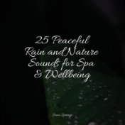 25 Peaceful Rain and Nature Sounds for Spa & Wellbeing