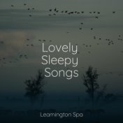 Lovely Sleepy Songs