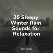 25 Sleepy Winter Rain Sounds for Relaxation