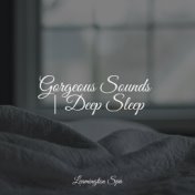 Gorgeous Sounds | Deep Sleep