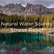 !!!" Natural Water Sounds: Stress Relief "!!!