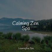 Calming Zen Spa