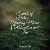 Sounds of Nature | Affirming Music | Relaxation and Zen