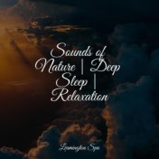 Sounds of Nature | Deep Sleep | Relaxation