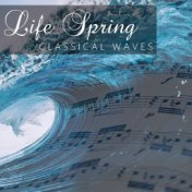 Life Spring Classical Waves