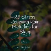 25 Stress Relieving Rain Melodies for Sleep