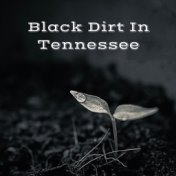 Black Dirt in Tennessee