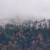 30 Summer Loopable Rain and Thunderstorms