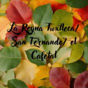 La Reyna Tuxtleca/ San Fernando/ El Cafetal