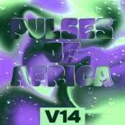 Pulses of Africa, Vol. 14