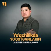 Yo'qchilikda yo'qotganlarim