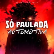 Só Paulada Automotiva