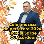 Colaj muzica de petrecere 2024 Hore și Sârbe Cu Acordeon