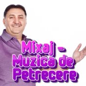 Mixaj - Muzica de Petrecere