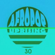 AfroPop Uprising, Vol. 30