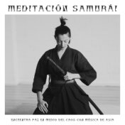 Meditación Samurái - Encuentra Paz en Medio del Caos con Música de Asia