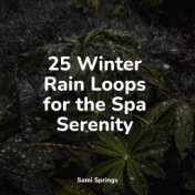 25 Winter Rain Loops for the Spa Serenity