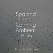 Spa and Sleep - Calming Ambient Rain