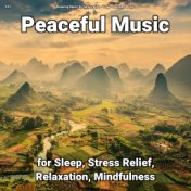 #01 Peaceful Music for Sleep, Stress Relief, Relaxation, Mindfulness