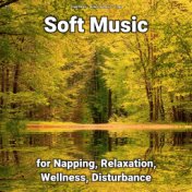 !!!! Soft Music for Napping, Relaxation, Wellness, Disturbance