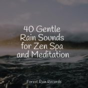 40 Gentle Rain Sounds for Zen Spa and Meditation