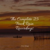 The Complete 25 Track Rain Recordings