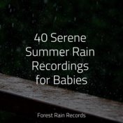 40 Serene Summer Rain Recordings for Babies