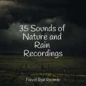 35 Sounds of Nature and Rain Recordings