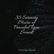 35 Serenity Music of Peaceful Rain Sounds