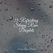 35 Refreshing Sleepy Rain Droplets