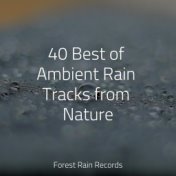 40 Best of Ambient Rain Tracks from Nature