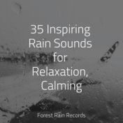 35 Inspiring Rain Sounds for Relaxation, Calming