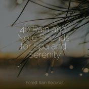40 Rain and Note Sounds for Spa and Serenity