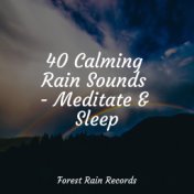 40 Calming Rain Sounds - Meditate & Sleep