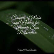 Sounds of Rain and Nature for Ultimate Spa Relaxation