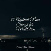 35 Ambient Rain Songs for Meditation