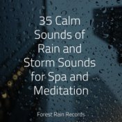 35 Calm Sounds of Rain and Storm Sounds for Spa and Meditation