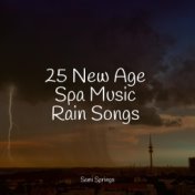 25 New Age Spa Music Rain Songs