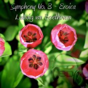 Symphony No. 3 in E flat major, Op. 55, "Eroica" - Ludwig van Beethoven (8D Binaural Remastered - Music Therapy)