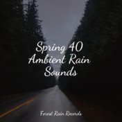 Spring 40 Ambient Rain Sounds